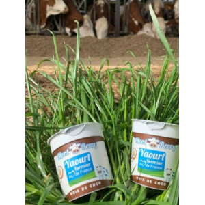 Yaourt montberry noix de coco