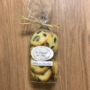 Cookies aux pépites de chocolat