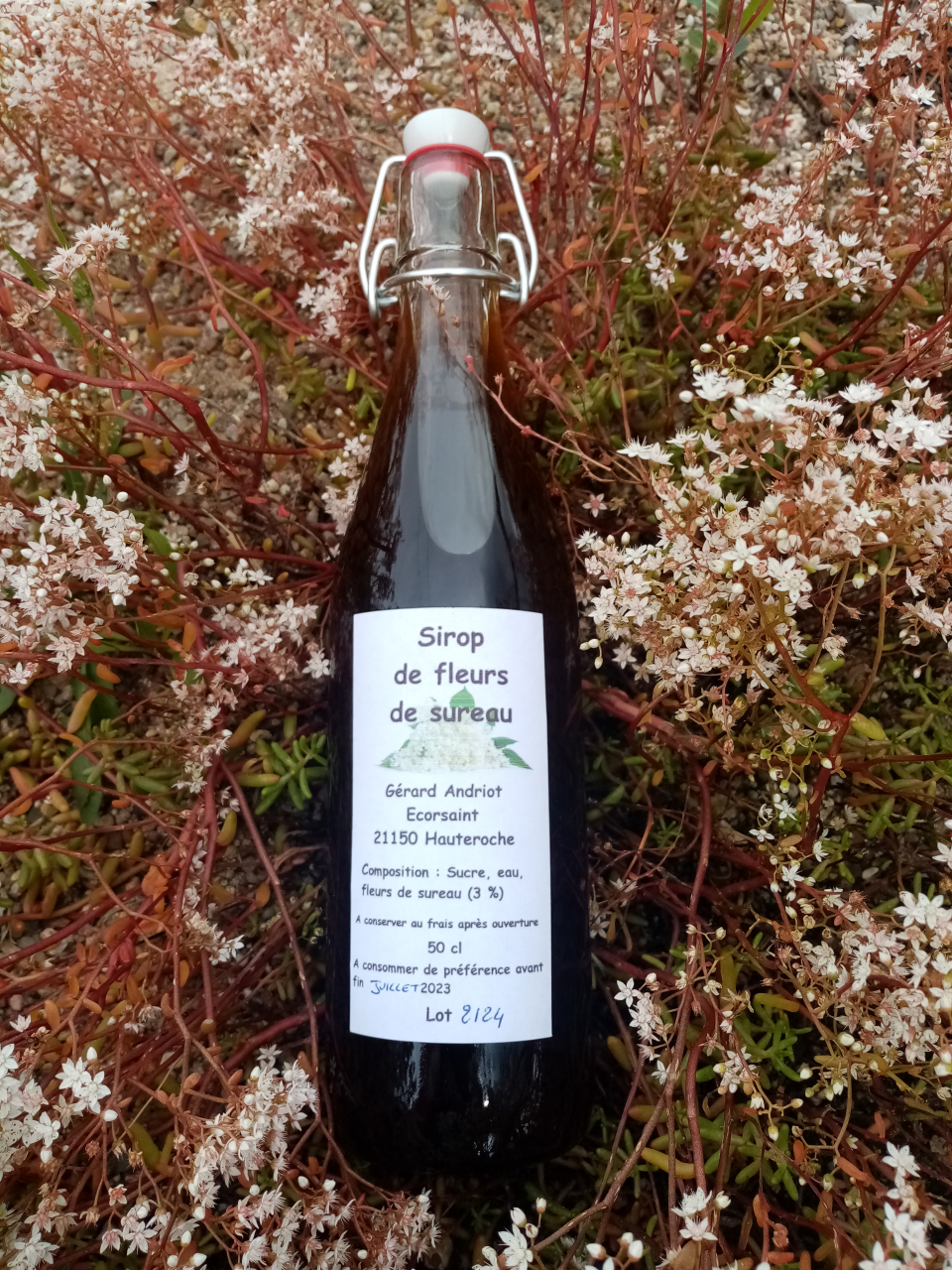 Sirop De Fleurs De Sureau L Ferme De La Petite Montagne