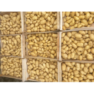 Pommes de terre bio monalisa (cagette 5 kg)