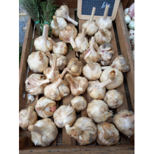 Ail blanc sec (100gr)