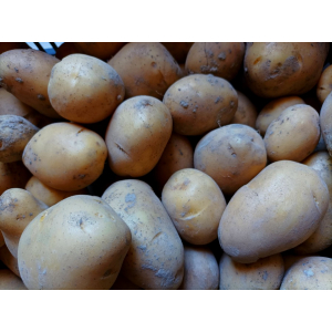Pommes de terre nouvelles
