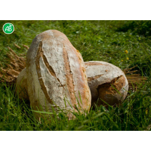 Pain de 2kg farine t80
