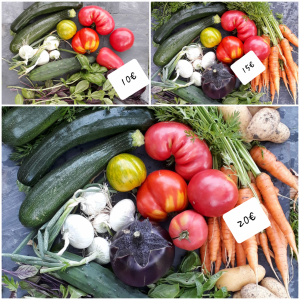 Panier de légumes frais de saison 15