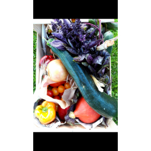Panier de légumes frais de saison 20