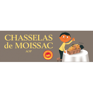 Chasselas de moissac aop  plateau 4 kg