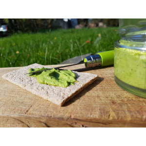 Pesto de saison
