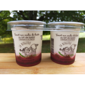 Yaourt sur lit de framboise