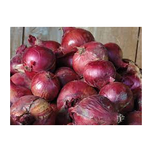 Oignons rouges