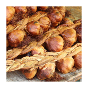 Ail fumé 500g tresse