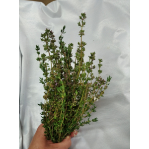 Bouquet thym frais bio