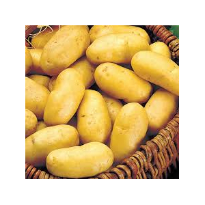 Charlotte bio faible teneur sucres 30 / 50mm