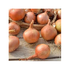 Oignon 'jaunes'