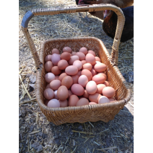 Petits oeufs fermiers boite de 12