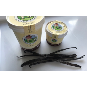 Créme glacée vanille