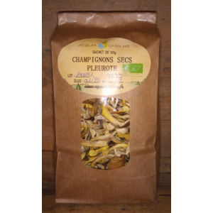 Pleurote gris (en huître) bio déshydraté