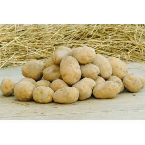 Pommes de terre toutes recettes10kg