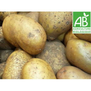 Pommes de terre consommation bio (mona lisa)
