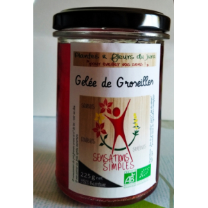 Gelée de groseilles
