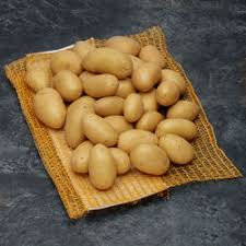 Pomme de terre grenaille charlotte