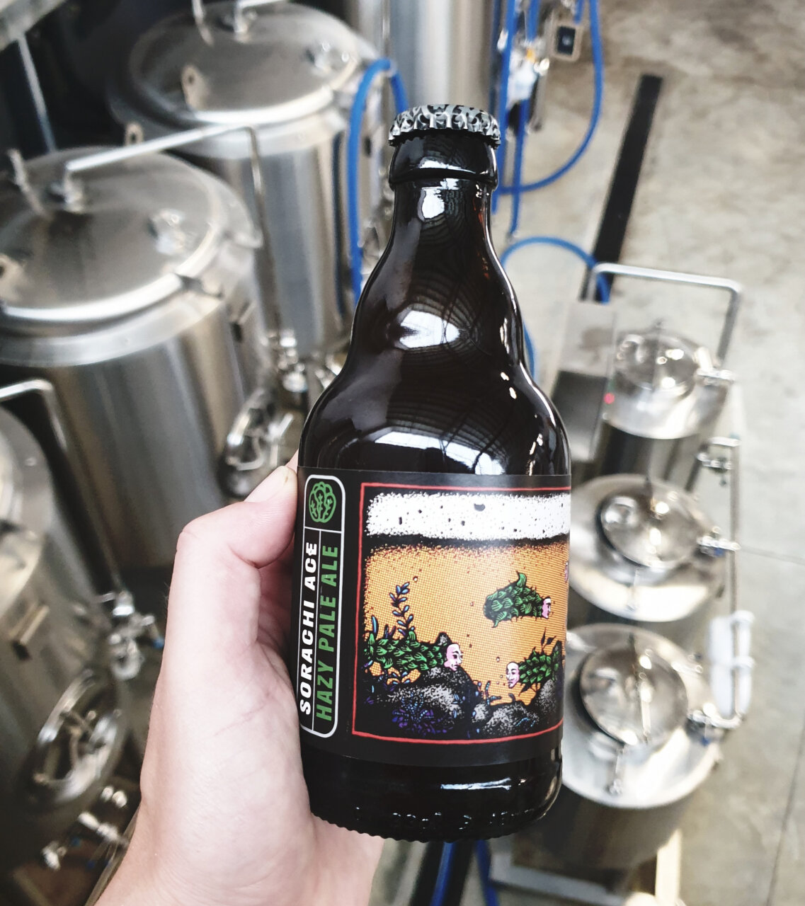 Houblons en en comprimés SORACHI ACE 100g - Houblon - La cave