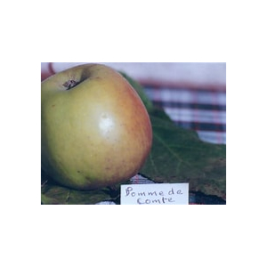 Pomme conte
