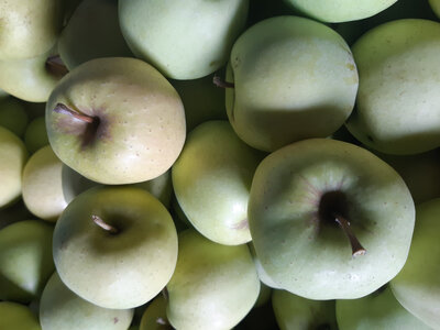 Pomme golden