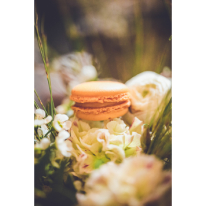 Macaron praline amande noisette du piémont x4