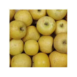 Pomme chantecler vrac 5kg 'bon marché'