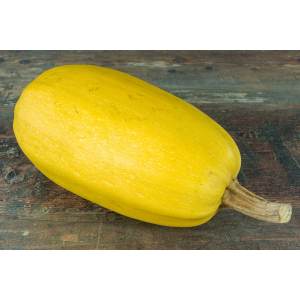 Courge spaghetti bio