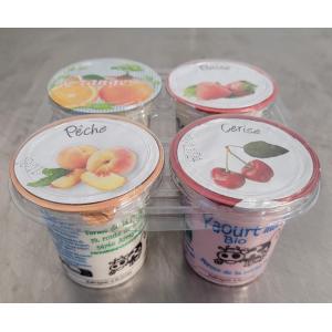 Yaourts aux fruits par lot de 4
