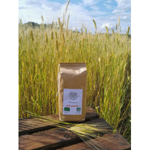 Farine fine de petit epeautre