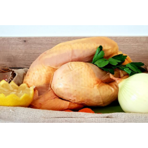 Poulette fermière élevée en plein air