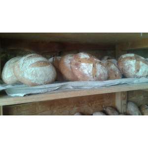 Pain à la farine de petit épeautre