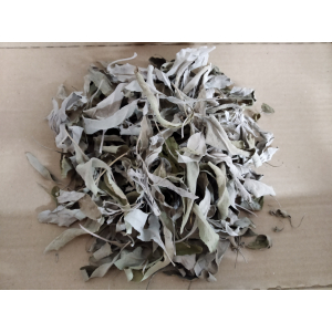 Sauge blanche à brûler