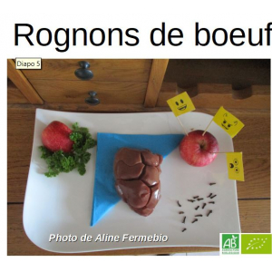 Rognon de boeuf