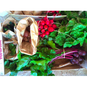 Panier de légumes de la semaine