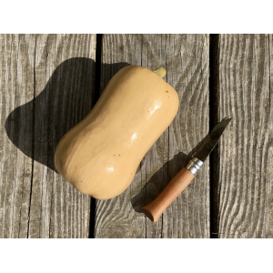 Courge butternut