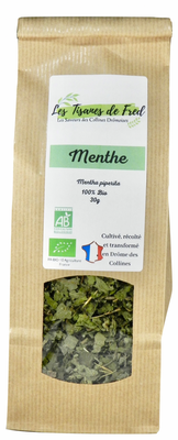 Menthe