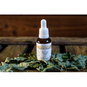 Alcoolature noisetier