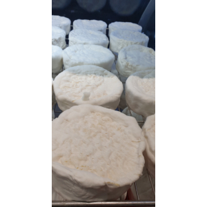 Camembert fermier au lait cru entre 2