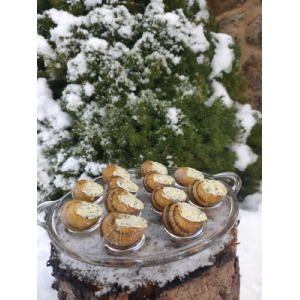 24 coquilles au beurre persillé surgelés