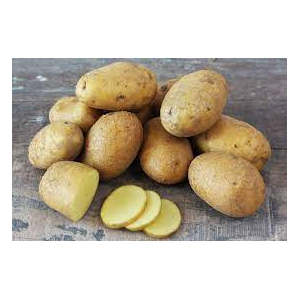 Pomme de terre agria