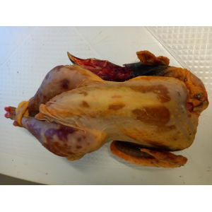 Pintade fermière prête à cuire (1,6kg/1,8kg)