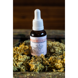 Alcoolature reine des prés