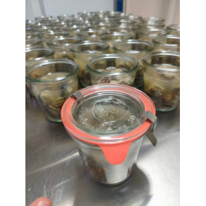 24 escargots gros gris au court bouillon