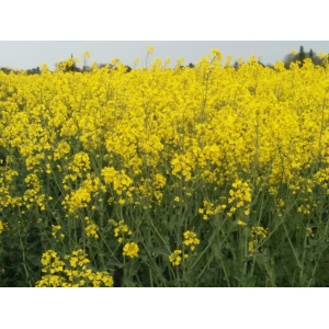 - 10% sur lot 6 x 1 litre jusqu'au 31/10/22