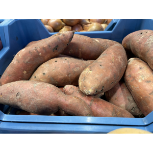 Patate douces bio