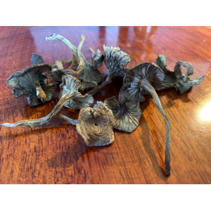 Chanterelles séchées extra