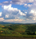 Café rwanda gatare - titus - image 2